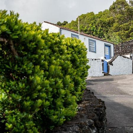 فيلا Casa Da Cisterna Sao Joao  المظهر الخارجي الصورة